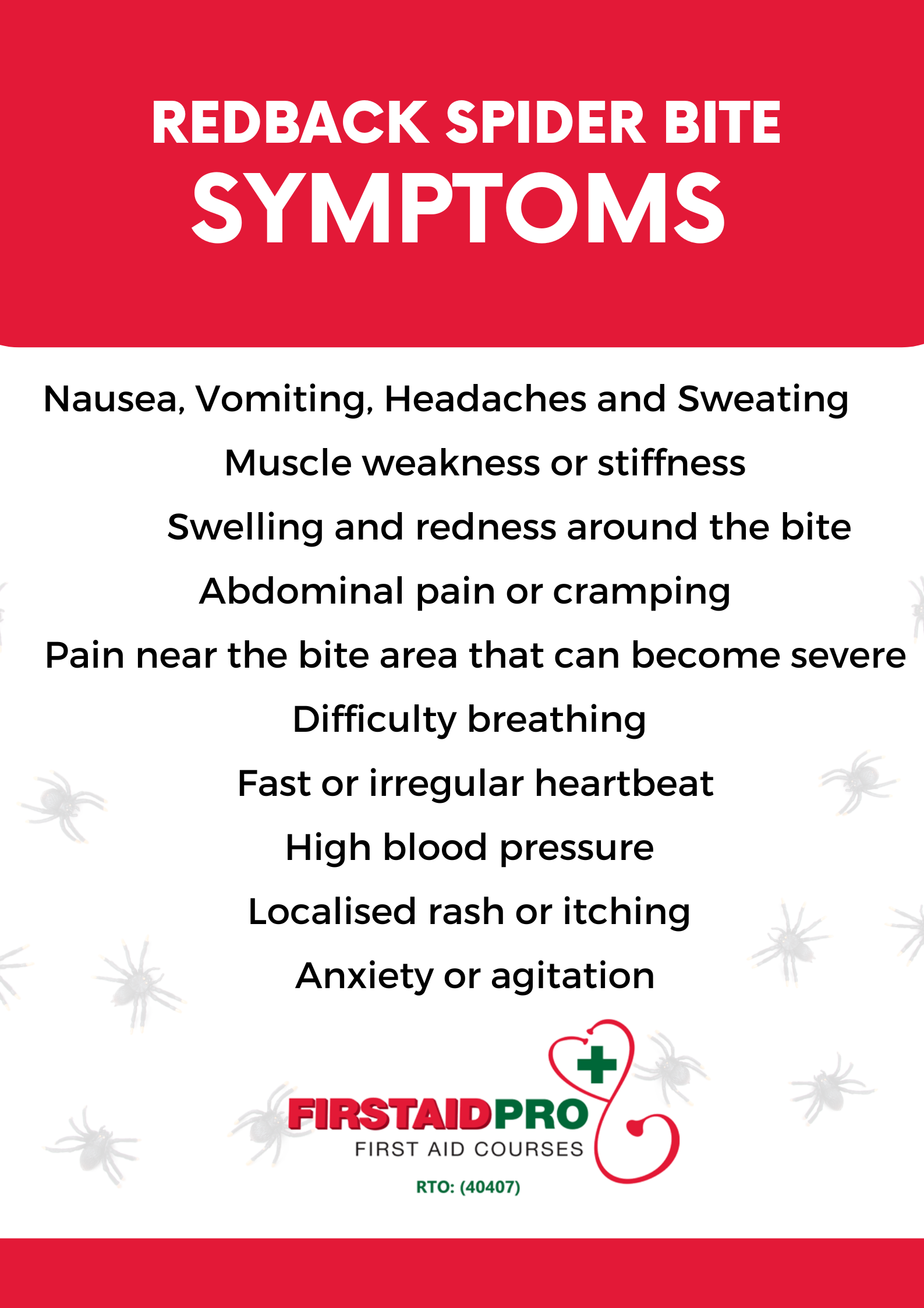Redback Spider Symptoms