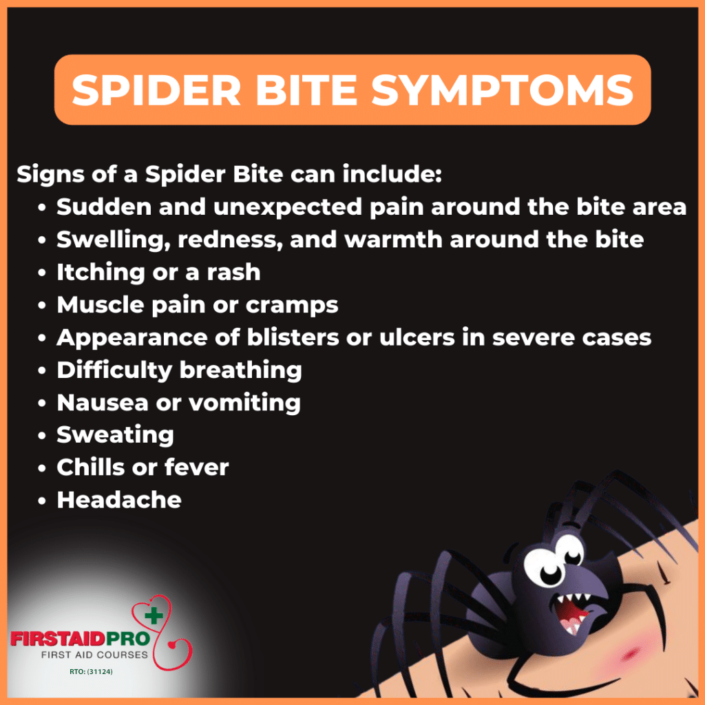 Spider bites When to worry, Symptoms & First Aid