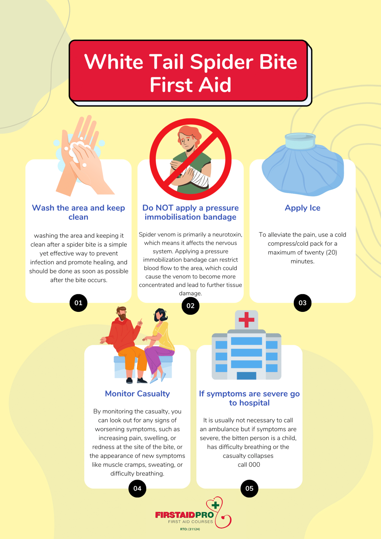 White Tail Spiders The Ultimate Guide Facts and Myths