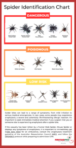 First Aid Pro Spider Identification Chart