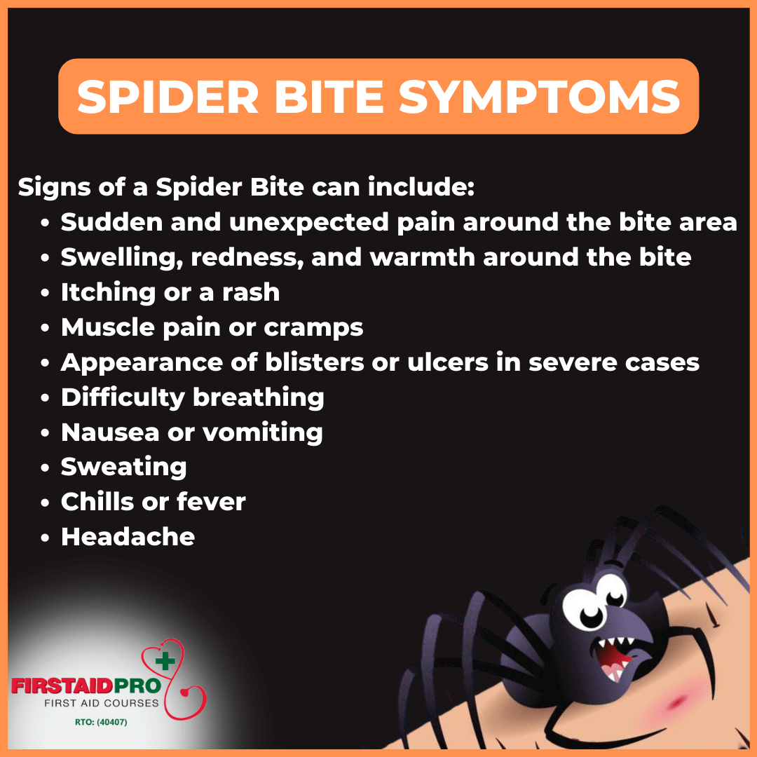 spider bite symptoms