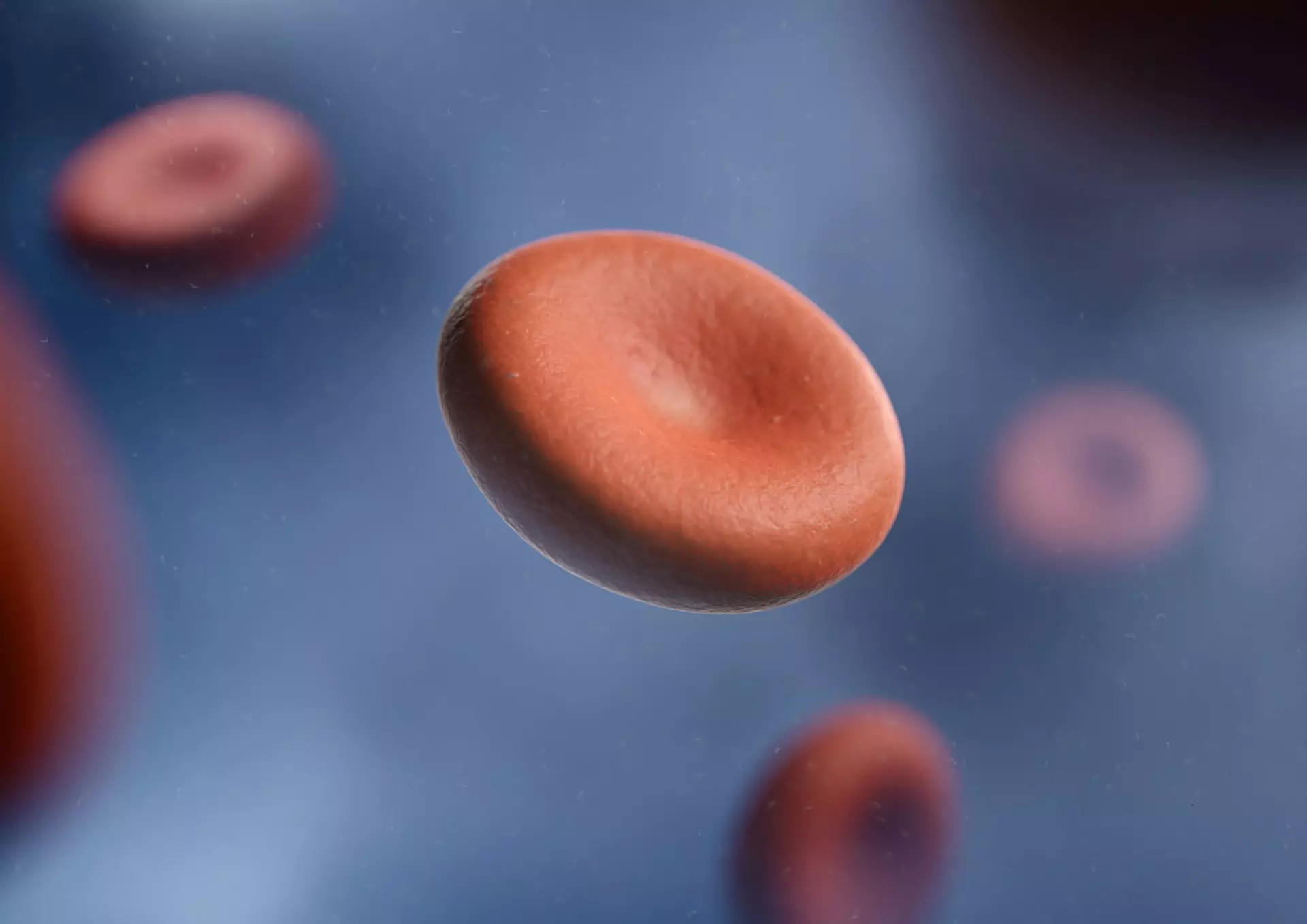 Red blood cells flowing through a blood vessel, transporting oxygen and nutrients throughout the body.