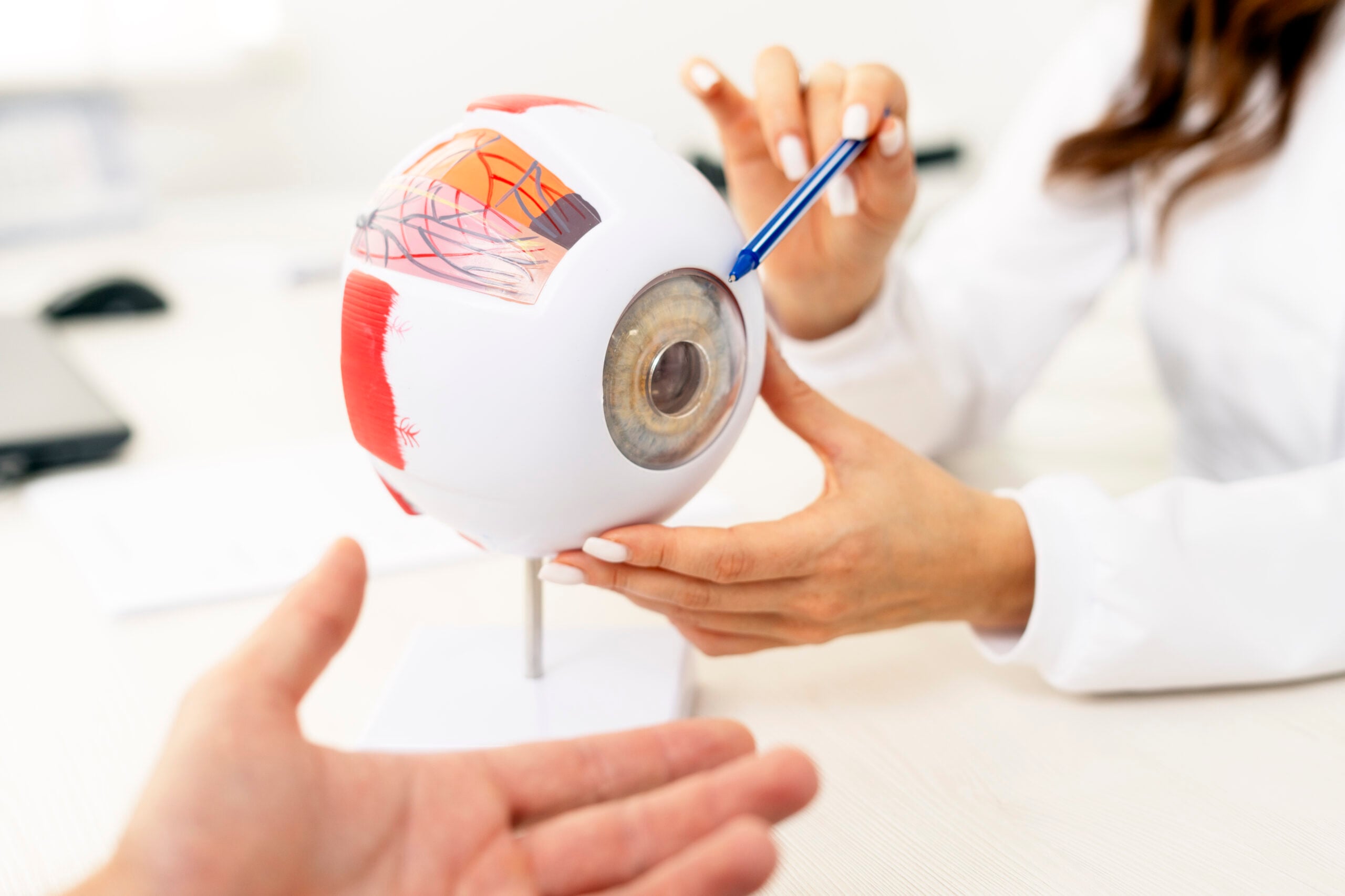 Close up of female ophthalmologist holding anatomical model of human eye and talking with patient. Health care concept