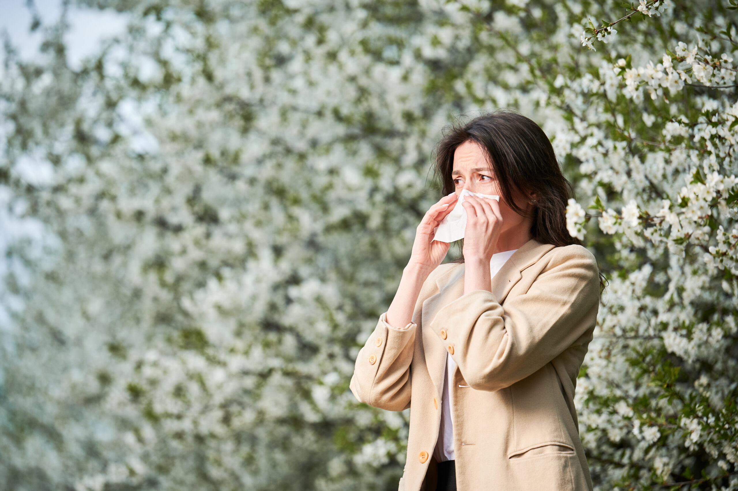 Woman allergic suffering from seasonal allergy at spring in blossoming garden at springtime. Young woman sneezing and blowing nose with nasal handkerchief in front of blooming tree. Allergy concept.