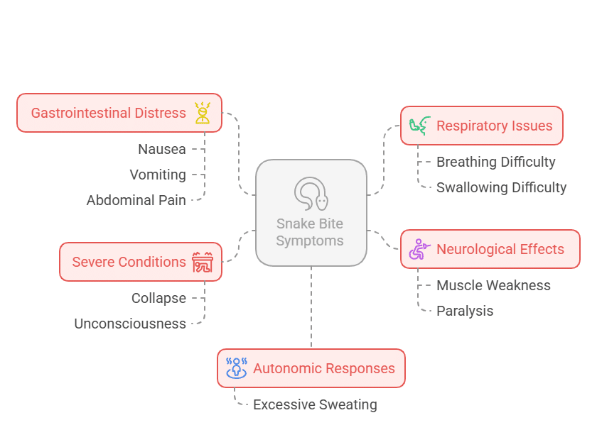snake bite symptoms
